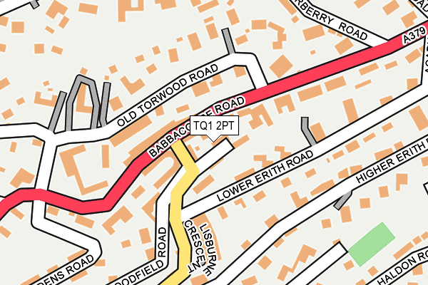 TQ1 2PT map - OS OpenMap – Local (Ordnance Survey)