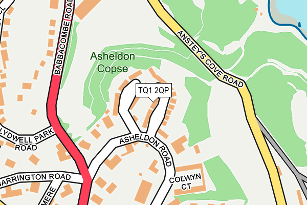 TQ1 2QP map - OS OpenMap – Local (Ordnance Survey)