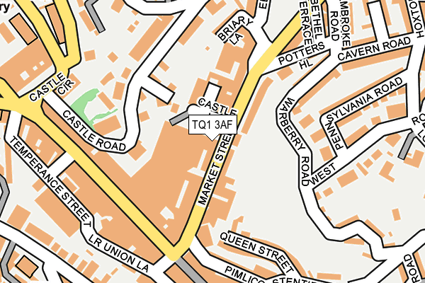 TQ1 3AF map - OS OpenMap – Local (Ordnance Survey)