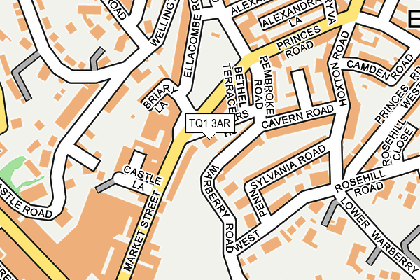 TQ1 3AR map - OS OpenMap – Local (Ordnance Survey)