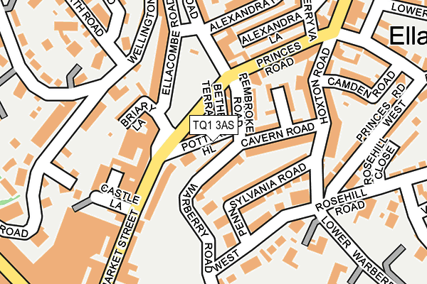 TQ1 3AS map - OS OpenMap – Local (Ordnance Survey)