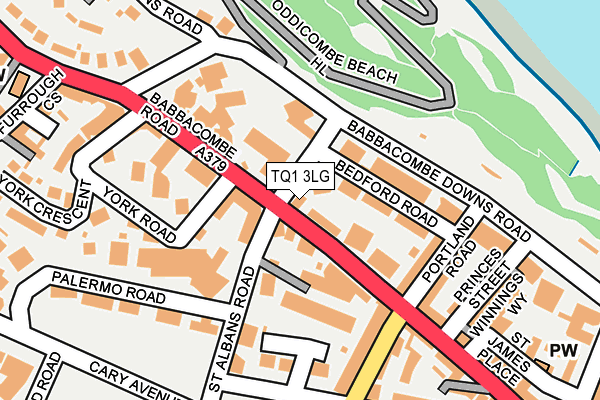 TQ1 3LG map - OS OpenMap – Local (Ordnance Survey)