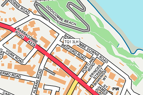 TQ1 3LH map - OS OpenMap – Local (Ordnance Survey)