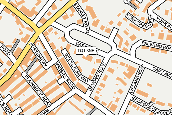 TQ1 3NE map - OS OpenMap – Local (Ordnance Survey)