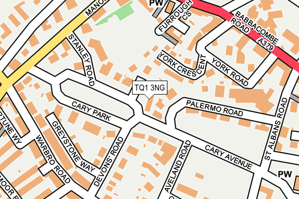 TQ1 3NG map - OS OpenMap – Local (Ordnance Survey)