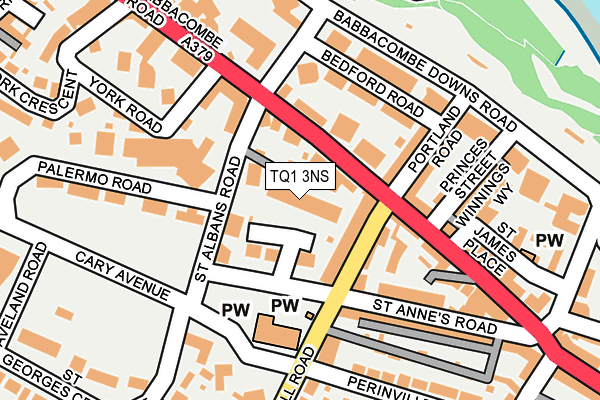 TQ1 3NS map - OS OpenMap – Local (Ordnance Survey)