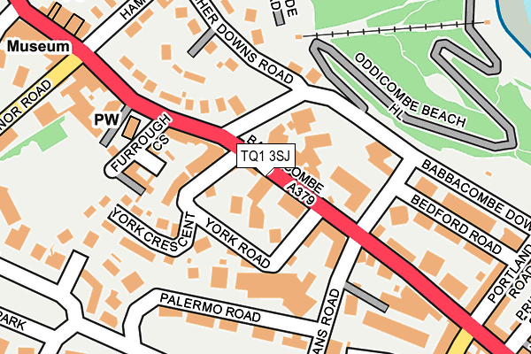 TQ1 3SJ map - OS OpenMap – Local (Ordnance Survey)