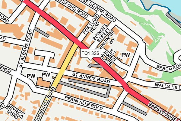 TQ1 3SS map - OS OpenMap – Local (Ordnance Survey)