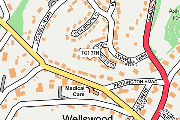 TQ1 3TN map - OS OpenMap – Local (Ordnance Survey)