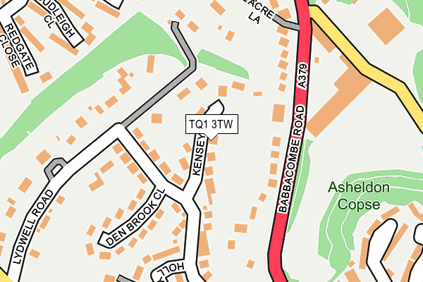 TQ1 3TW map - OS OpenMap – Local (Ordnance Survey)