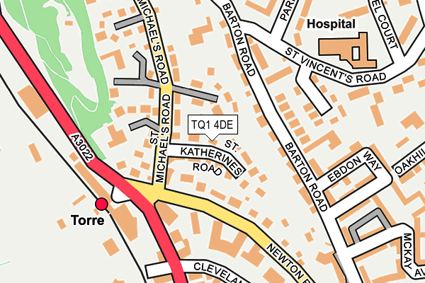 TQ1 4DE map - OS OpenMap – Local (Ordnance Survey)