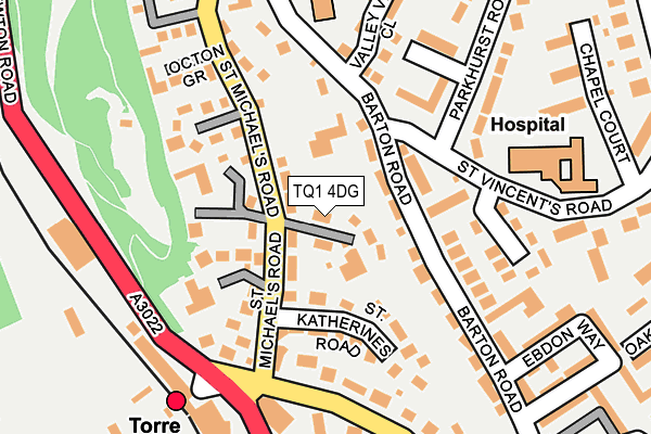 TQ1 4DG map - OS OpenMap – Local (Ordnance Survey)