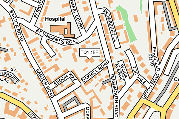 TQ1 4EF map - OS OpenMap – Local (Ordnance Survey)
