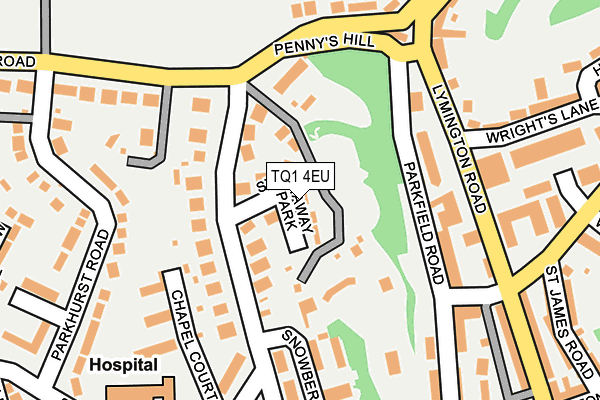 TQ1 4EU map - OS OpenMap – Local (Ordnance Survey)