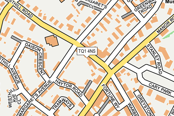 TQ1 4NS map - OS OpenMap – Local (Ordnance Survey)