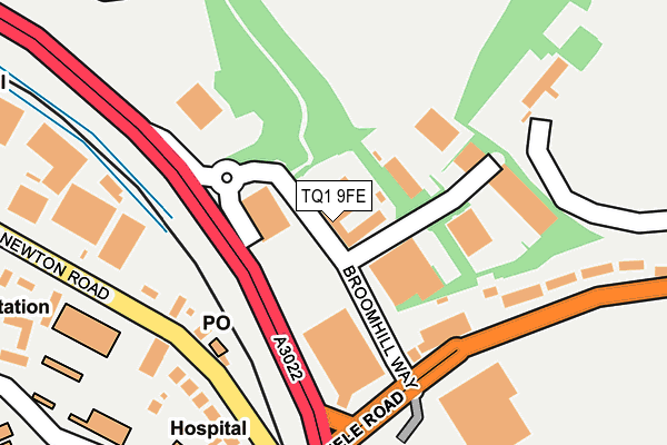 TQ1 9FE map - OS OpenMap – Local (Ordnance Survey)