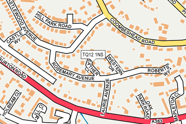 TQ12 1NS map - OS OpenMap – Local (Ordnance Survey)