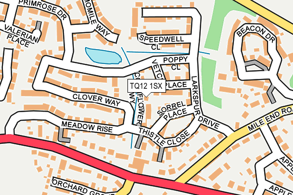 TQ12 1SX map - OS OpenMap – Local (Ordnance Survey)