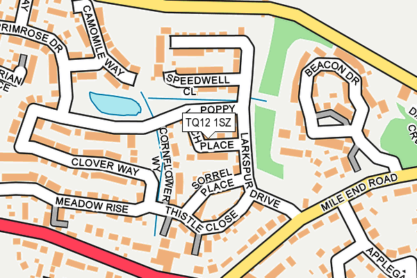 TQ12 1SZ map - OS OpenMap – Local (Ordnance Survey)