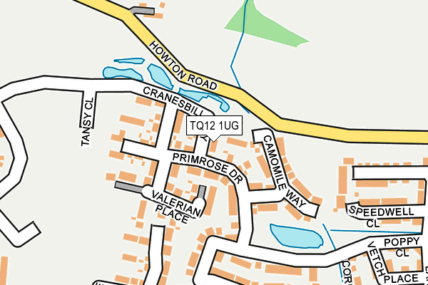 TQ12 1UG map - OS OpenMap – Local (Ordnance Survey)
