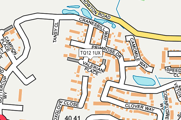 TQ12 1UX map - OS OpenMap – Local (Ordnance Survey)