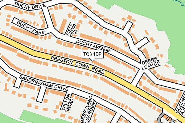 TQ3 1DP map - OS OpenMap – Local (Ordnance Survey)