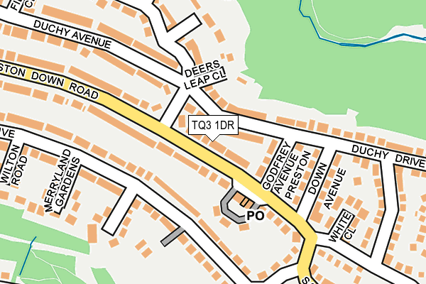 TQ3 1DR map - OS OpenMap – Local (Ordnance Survey)