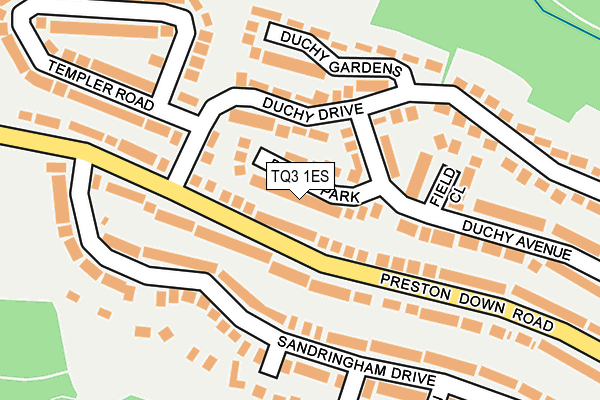 TQ3 1ES map - OS OpenMap – Local (Ordnance Survey)