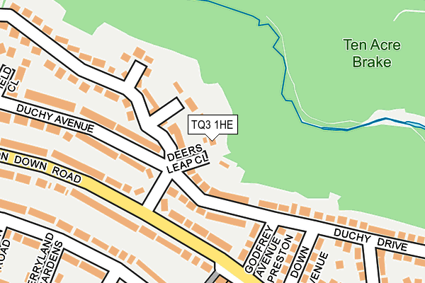 TQ3 1HE map - OS OpenMap – Local (Ordnance Survey)