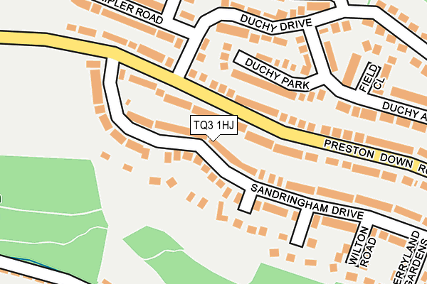 TQ3 1HJ map - OS OpenMap – Local (Ordnance Survey)