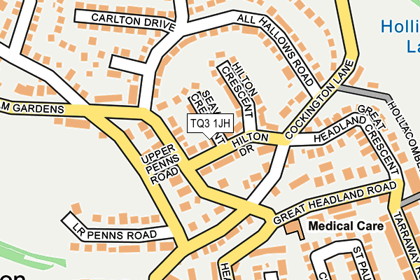 TQ3 1JH map - OS OpenMap – Local (Ordnance Survey)