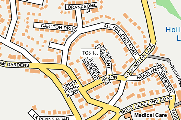 TQ3 1JJ map - OS OpenMap – Local (Ordnance Survey)