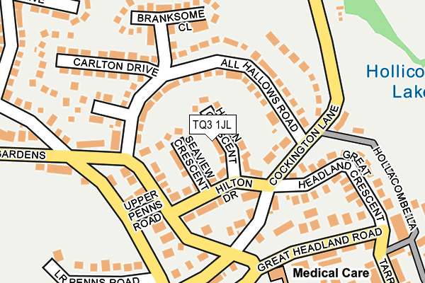 TQ3 1JL map - OS OpenMap – Local (Ordnance Survey)