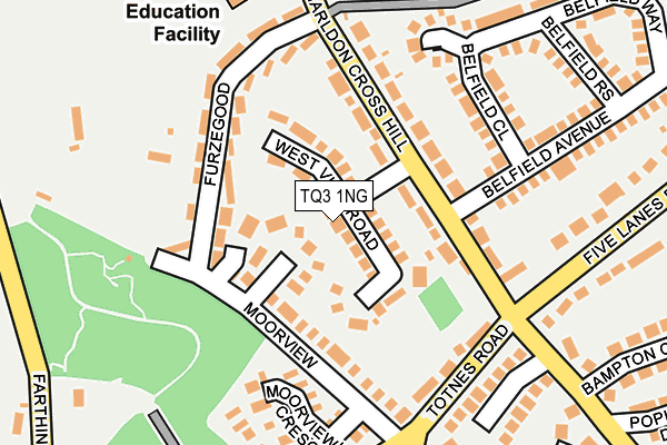 TQ3 1NG map - OS OpenMap – Local (Ordnance Survey)