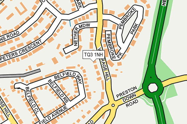 TQ3 1NH map - OS OpenMap – Local (Ordnance Survey)