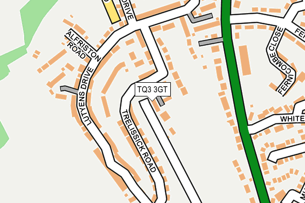TQ3 3GT map - OS OpenMap – Local (Ordnance Survey)