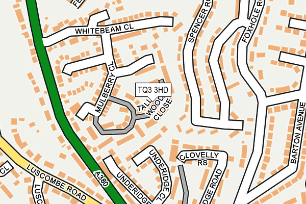 TQ3 3HD map - OS OpenMap – Local (Ordnance Survey)