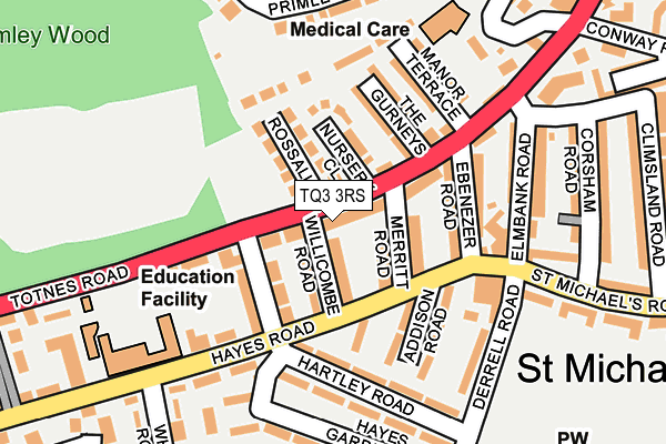 TQ3 3RS map - OS OpenMap – Local (Ordnance Survey)