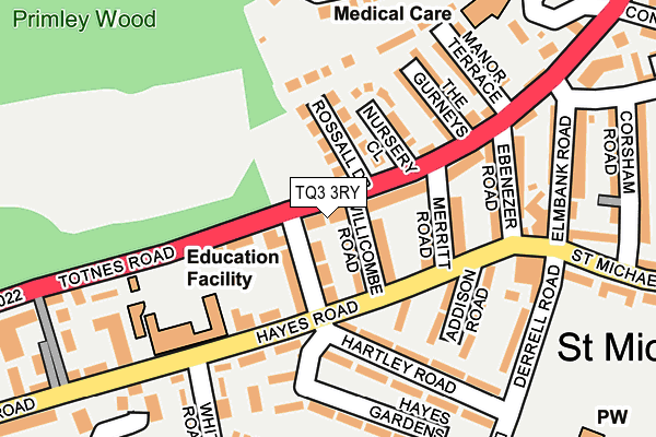 TQ3 3RY map - OS OpenMap – Local (Ordnance Survey)