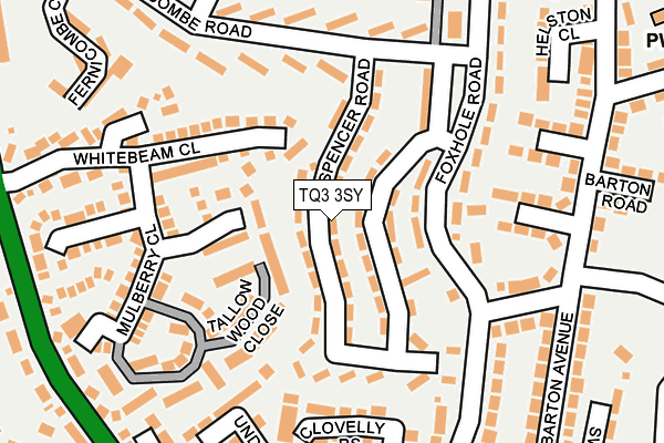 TQ3 3SY map - OS OpenMap – Local (Ordnance Survey)