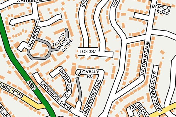 TQ3 3SZ map - OS OpenMap – Local (Ordnance Survey)