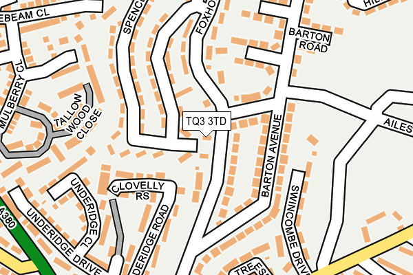 TQ3 3TD map - OS OpenMap – Local (Ordnance Survey)