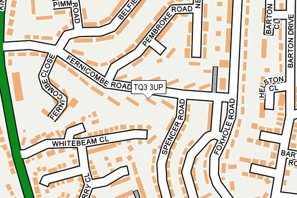 TQ3 3UP map - OS OpenMap – Local (Ordnance Survey)