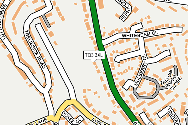 TQ3 3XL map - OS OpenMap – Local (Ordnance Survey)