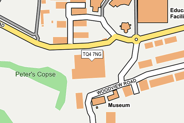 TQ4 7NG map - OS OpenMap – Local (Ordnance Survey)