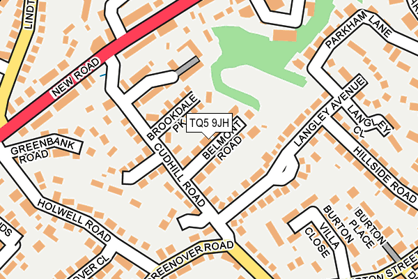 TQ5 9JH map - OS OpenMap – Local (Ordnance Survey)