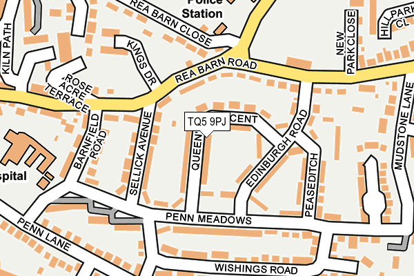 TQ5 9PJ map - OS OpenMap – Local (Ordnance Survey)