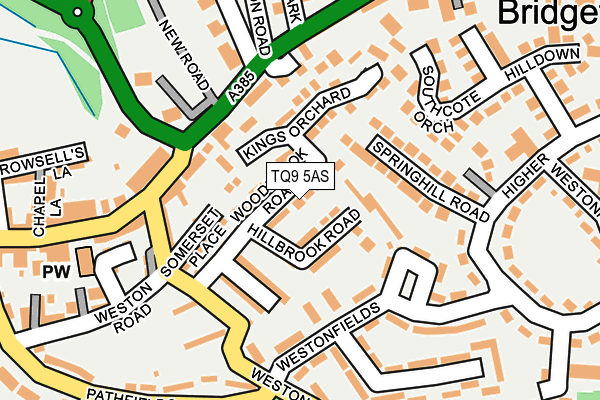 TQ9 5AS map - OS OpenMap – Local (Ordnance Survey)