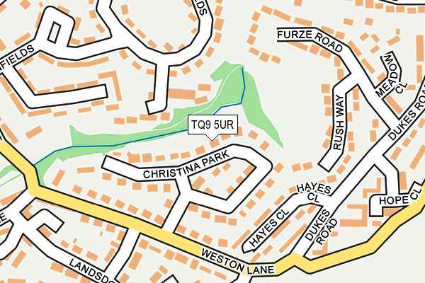 TQ9 5UR map - OS OpenMap – Local (Ordnance Survey)