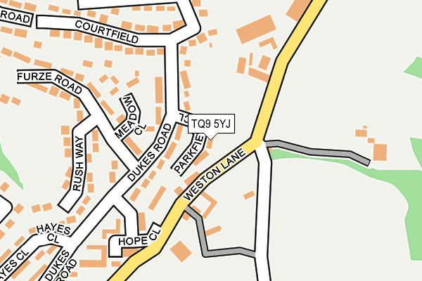 TQ9 5YJ map - OS OpenMap – Local (Ordnance Survey)